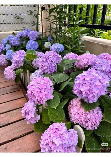 ResizedImage_2026-01-21_10-14-53_2