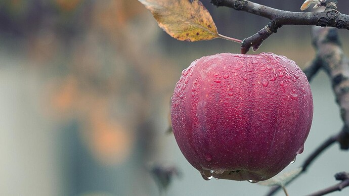 images_3