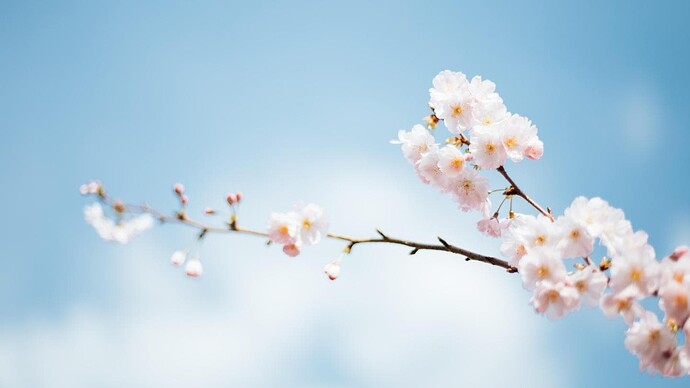images_5